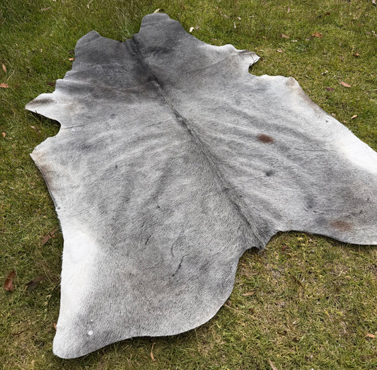 Cowhide rug #3