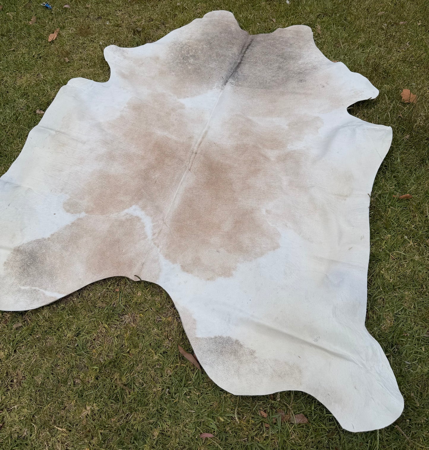 Cowhide rug #4
