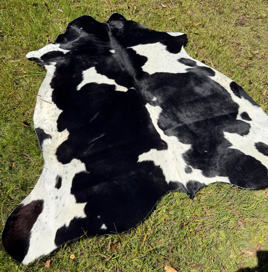 Cowhide rug #6