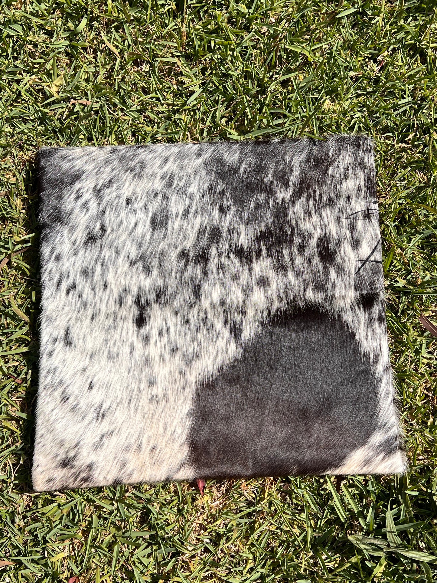 Colour fun run raffle