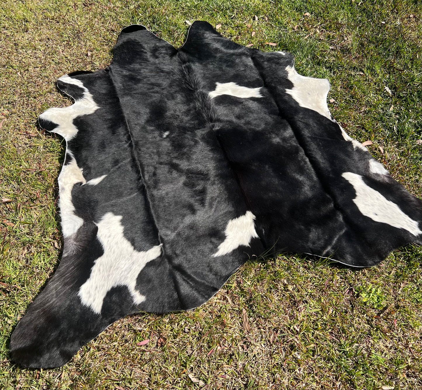Cowhide rug #1
