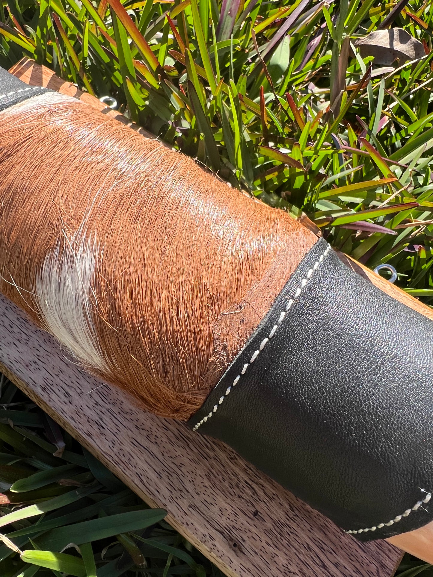 SECONDS Mounted horns #4