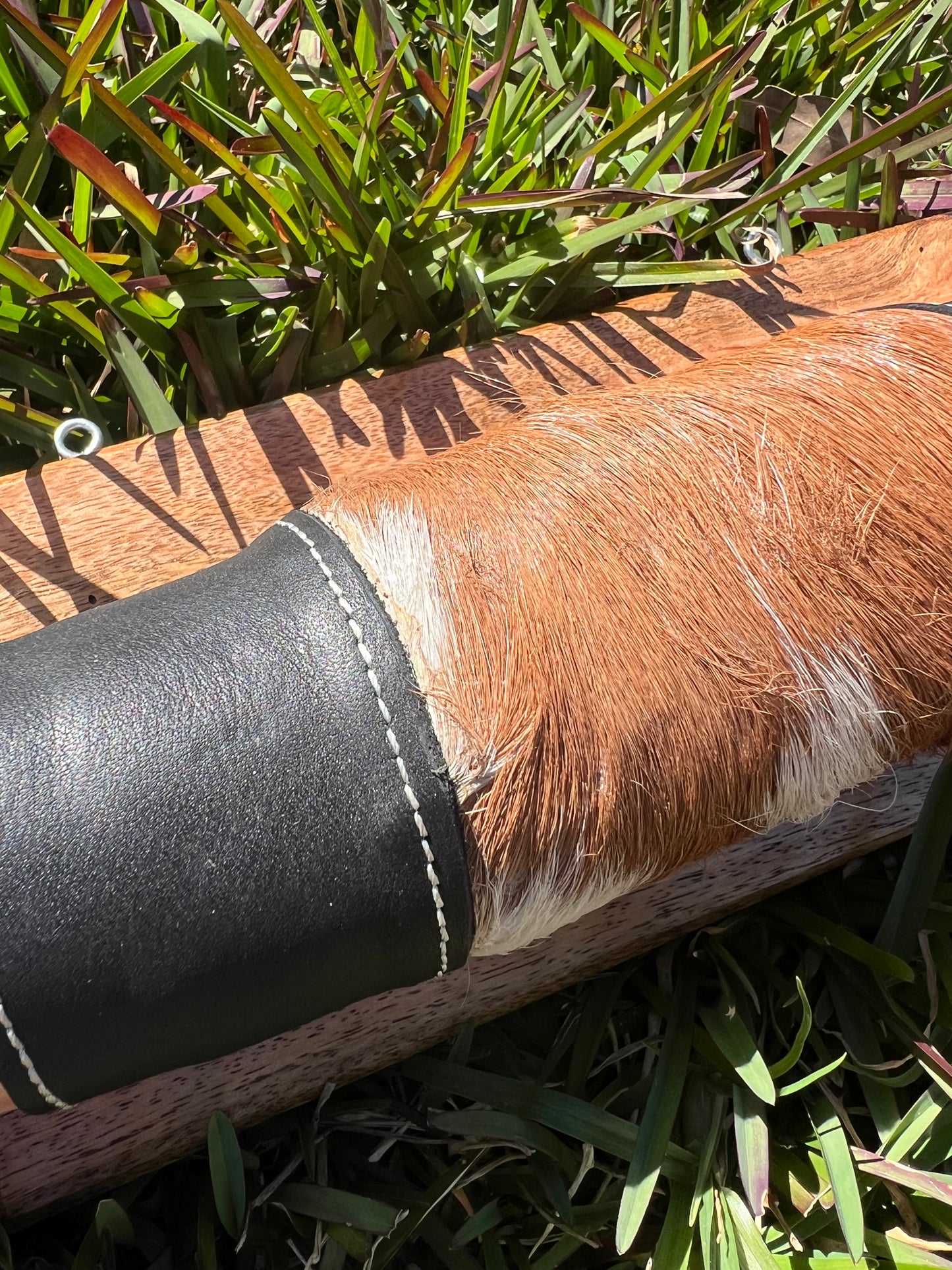 SECONDS Mounted horns #4