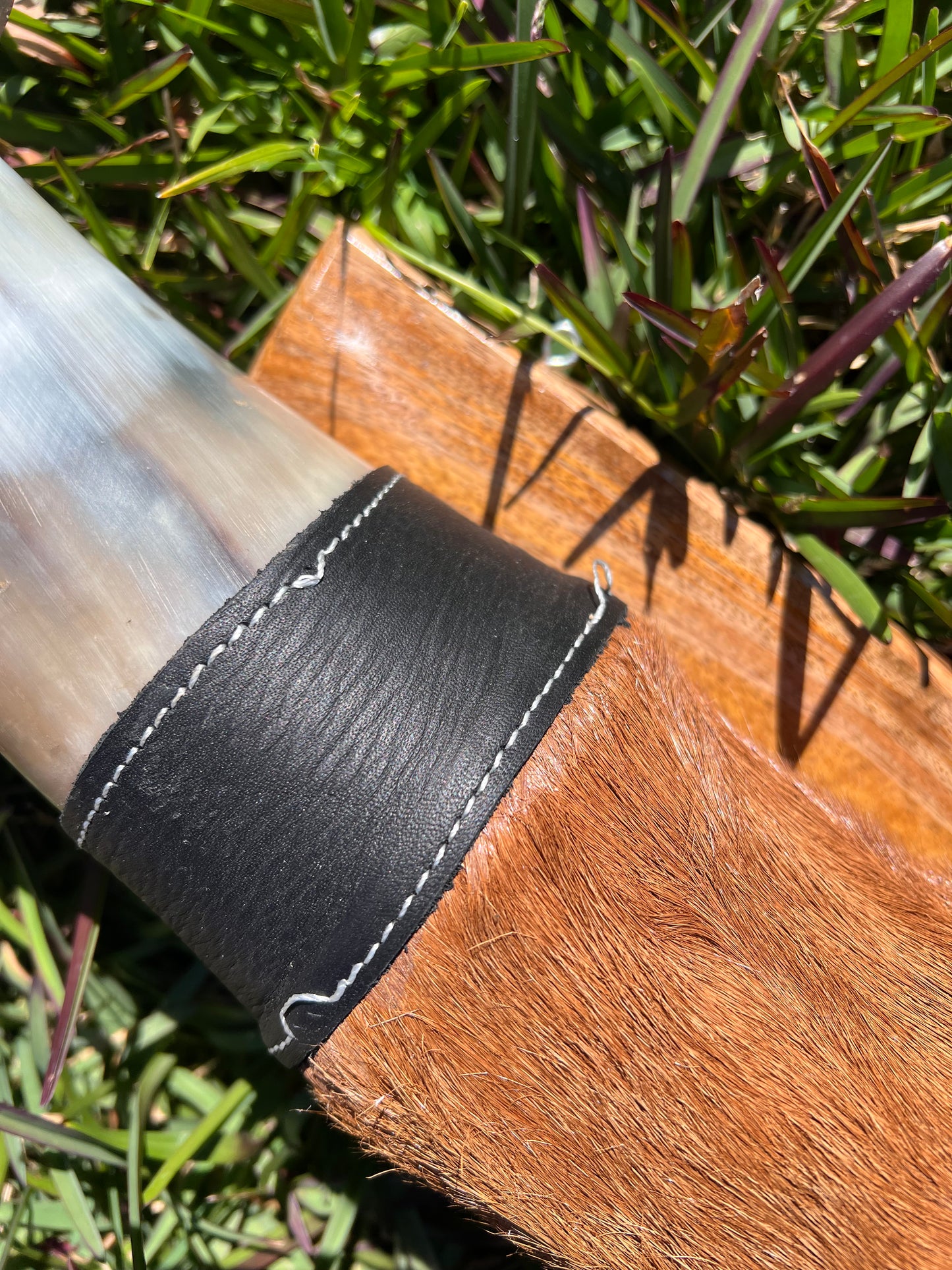 SECONDS Mounted horns #3