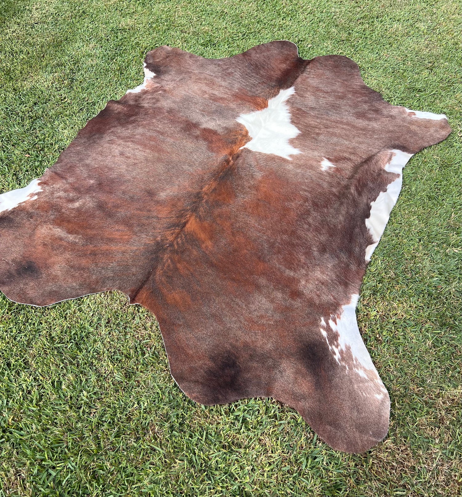 Cowhide rugs