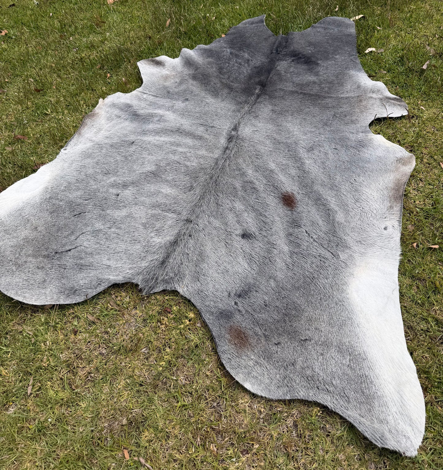 Cowhide rug #3