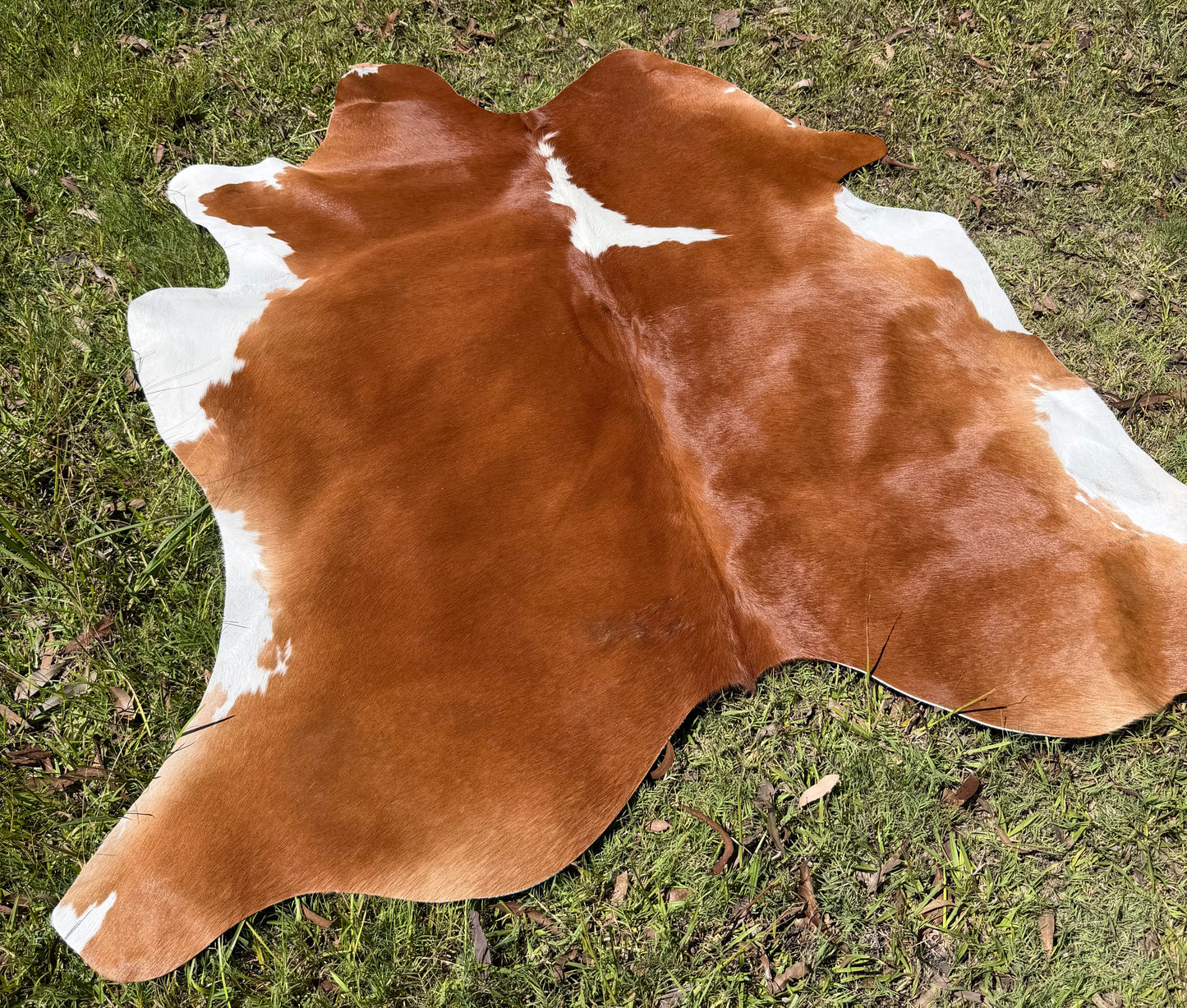 Cowhide rug #5