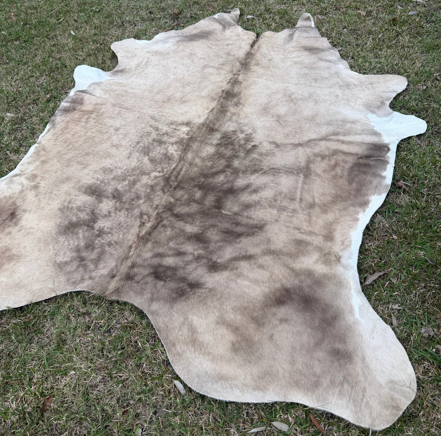 Cowhide rug #10