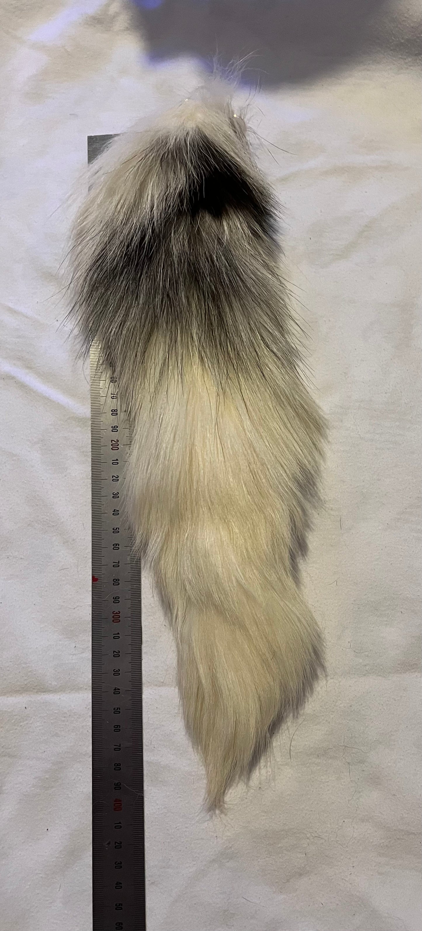 Fox tail keyring #17