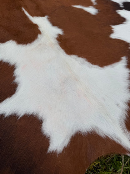 SECONDS - Cowhide rug #2