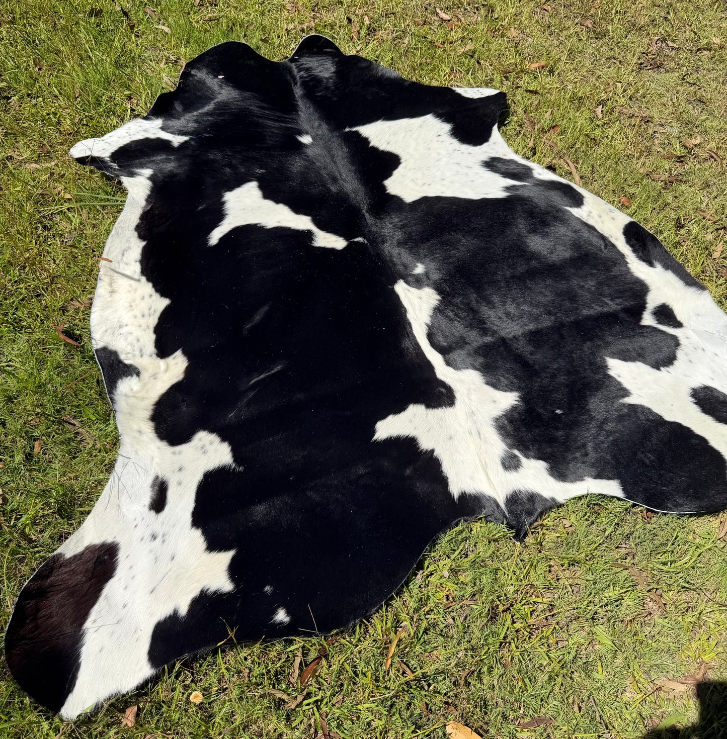 Cowhide rug #6