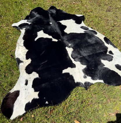 Cowhide rug #6