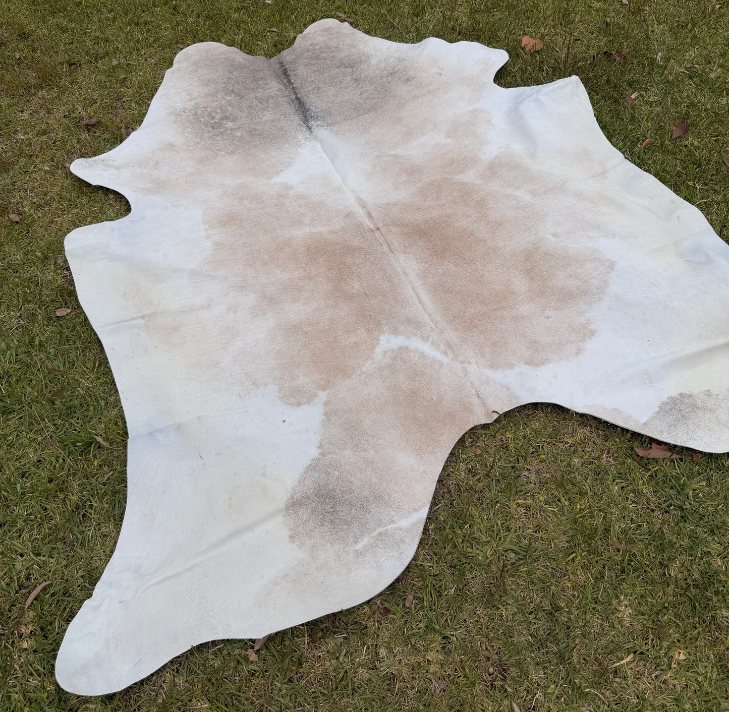 Cowhide rug #4