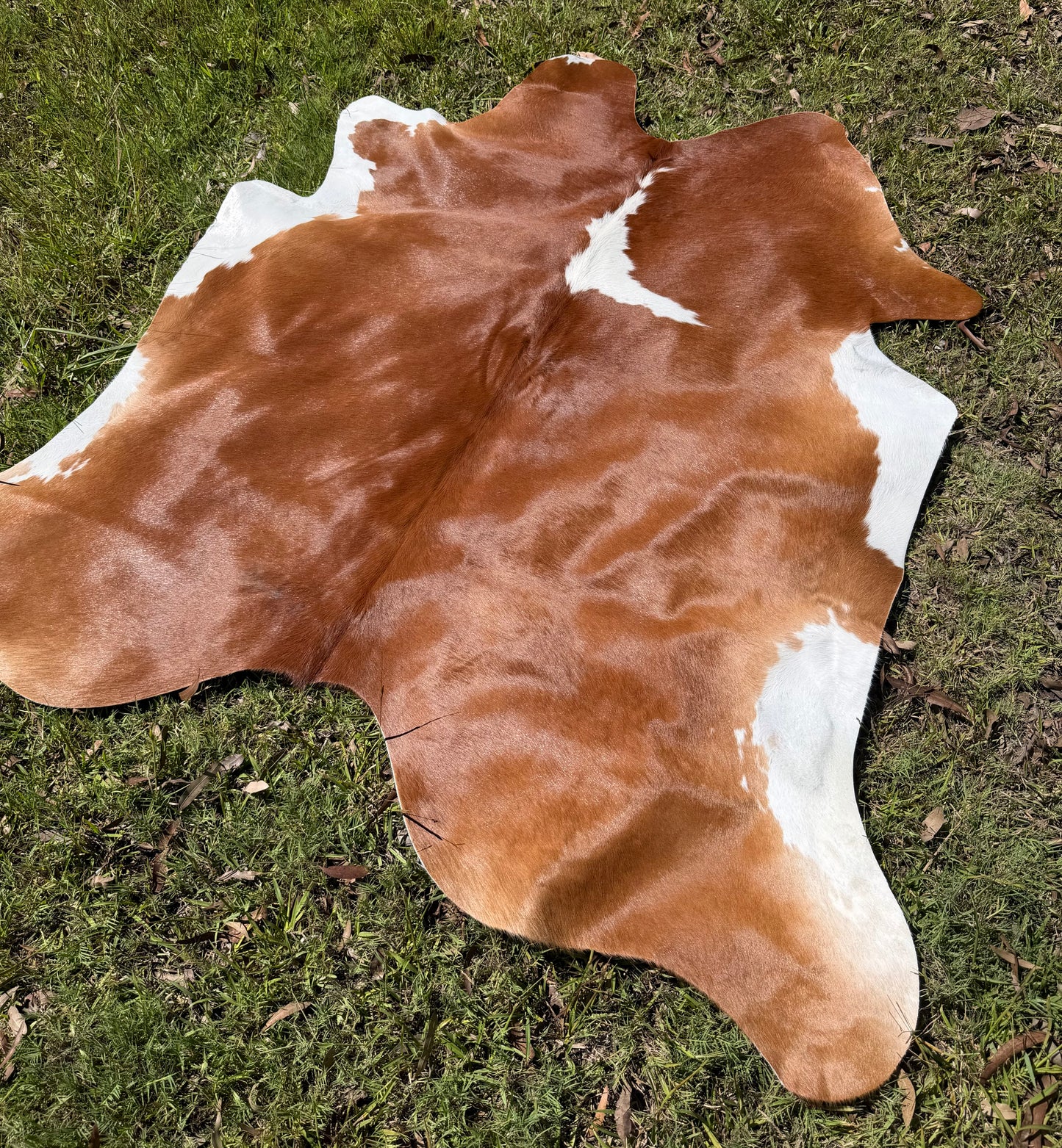 Cowhide rug #5