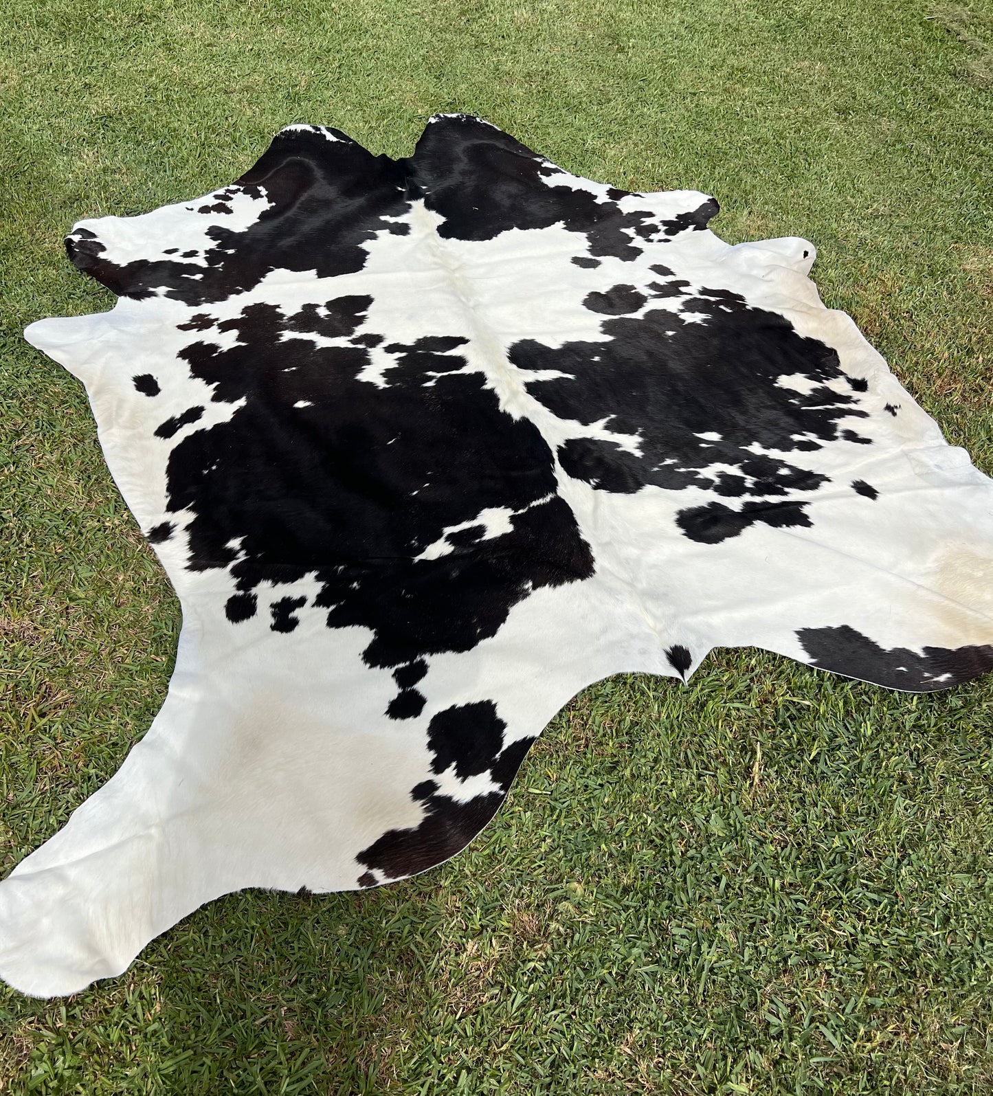 Cowhide rug #2