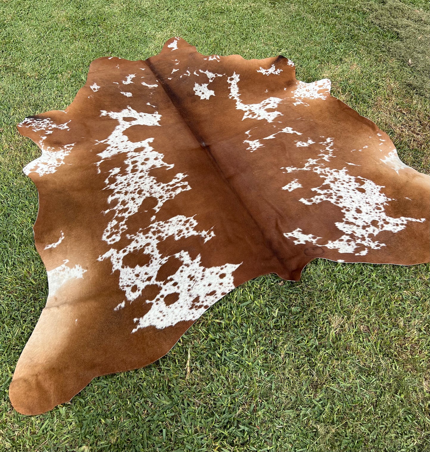 Cowhide rug #8