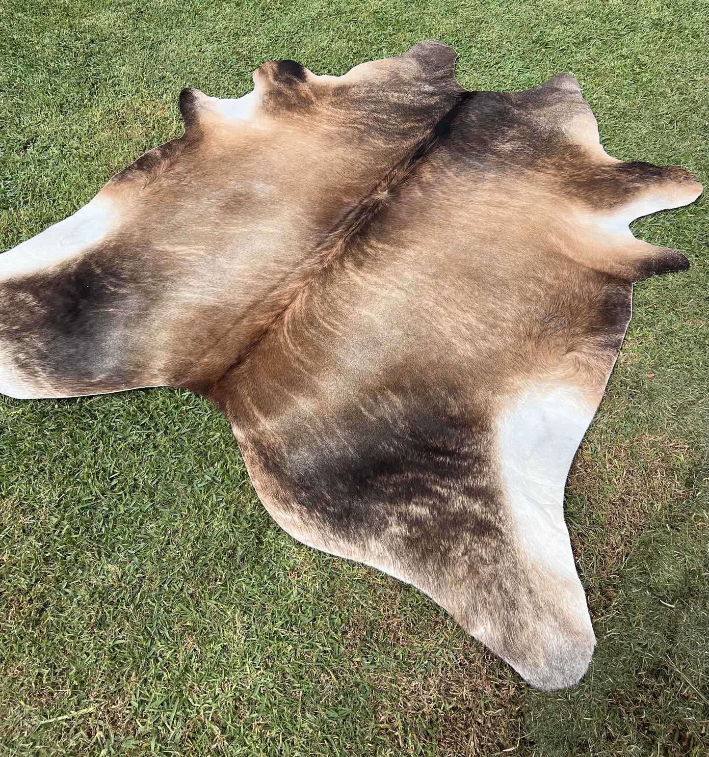 Cowhide rug #9