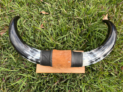 SECONDS Mounted horns #1