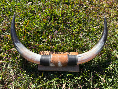 SECONDS Mounted horns #4