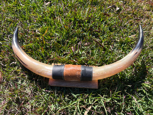 SECONDS Mounted horns #2
