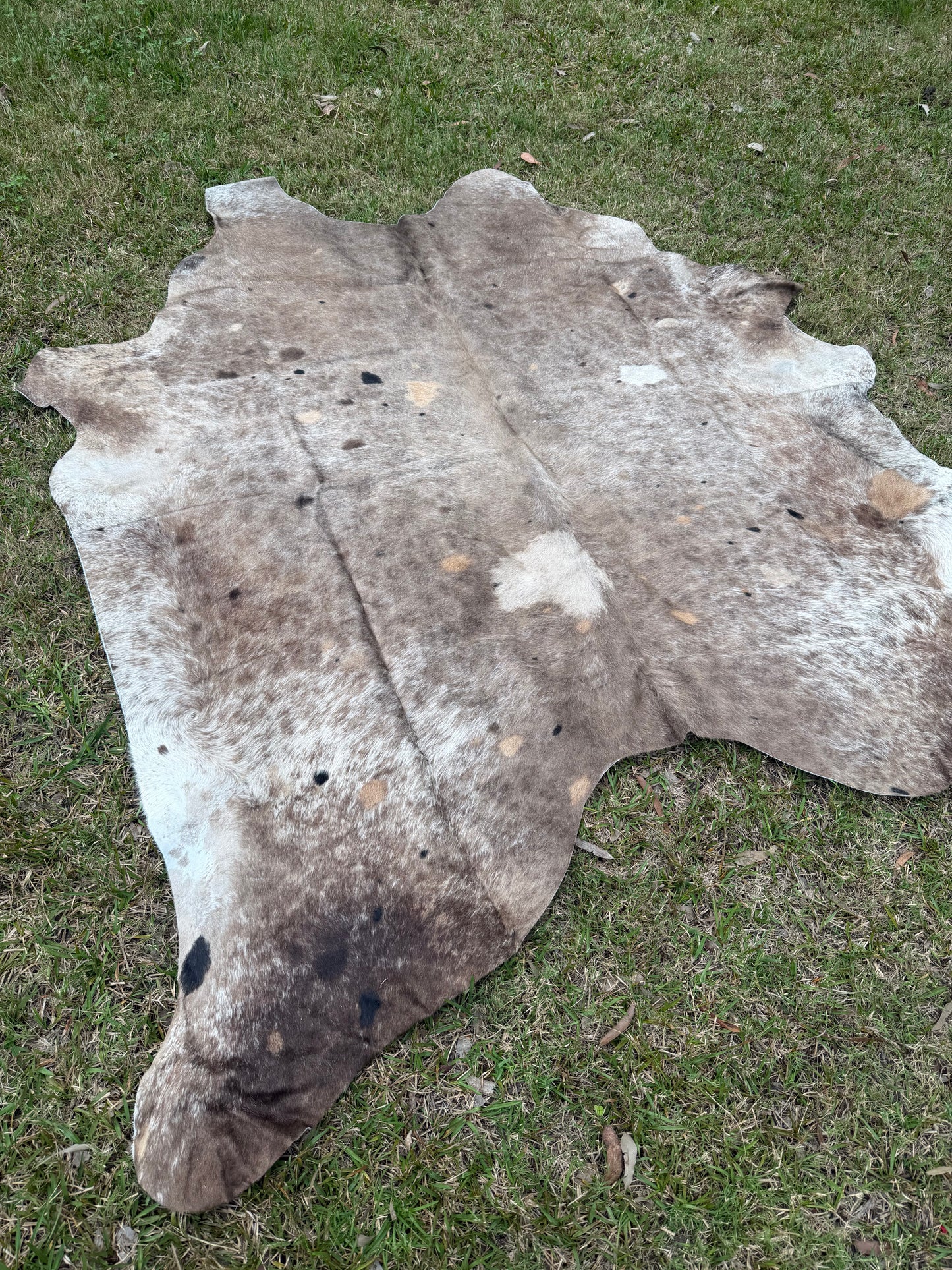 Cowhide rug #15