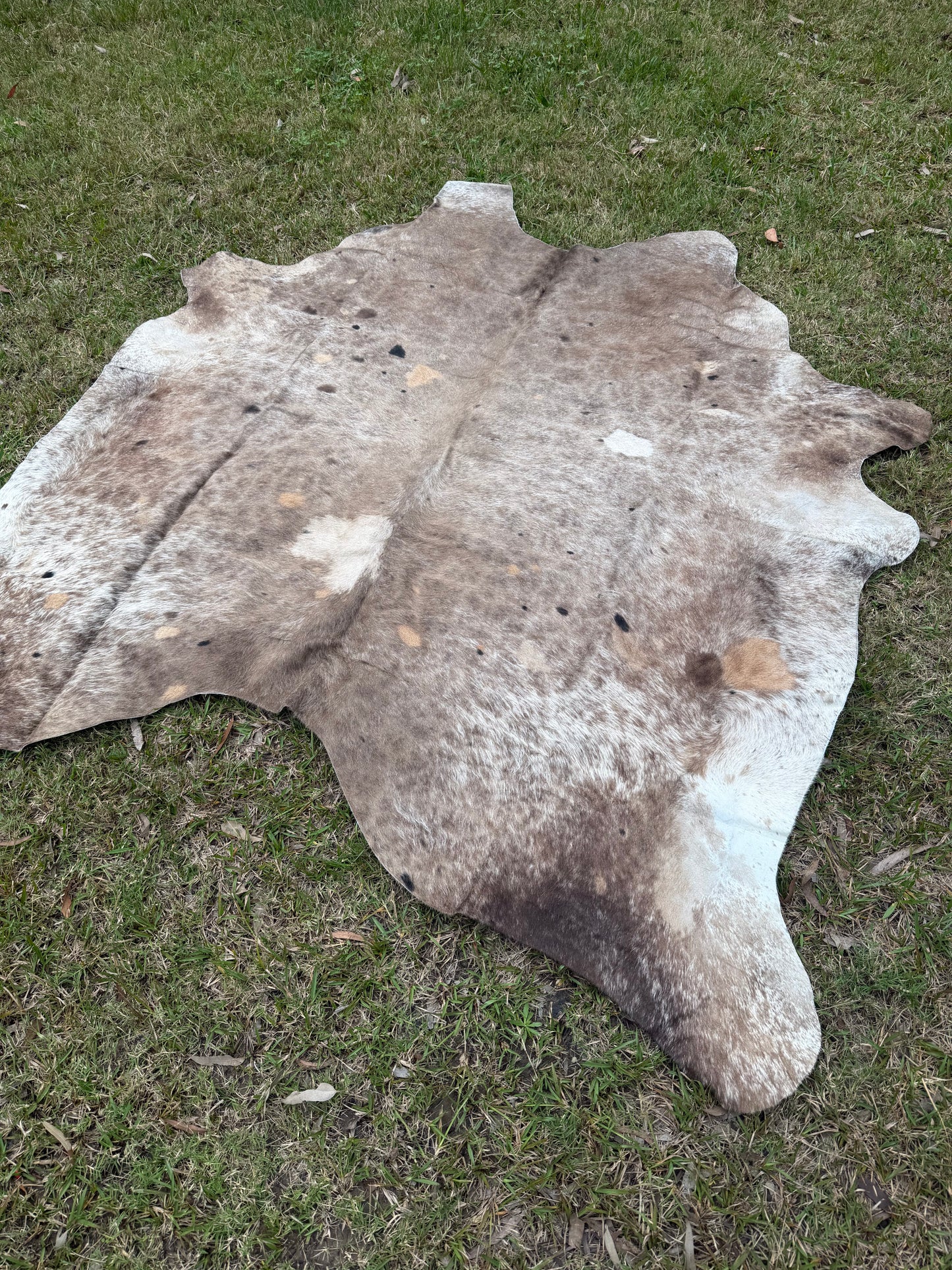 Cowhide rug #15