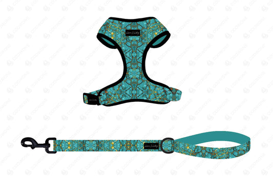 Wild turquoise dog harness & lead set